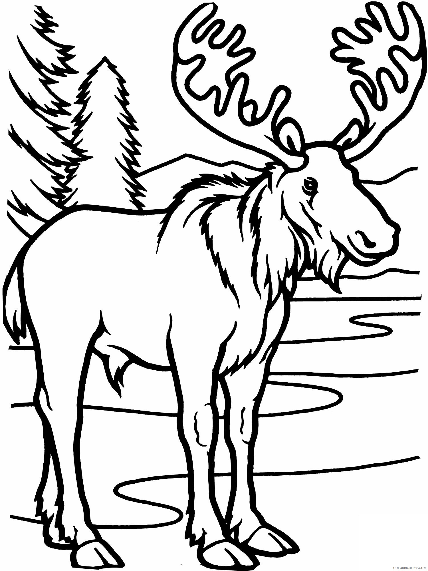 Moose Coloring Pages Animal Printable Sheets Moose 2 2021 3376 Coloring4free