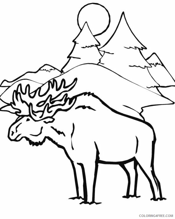 Moose Coloring Pages Animal Printable Sheets Moose 2021 3370 Coloring4free
