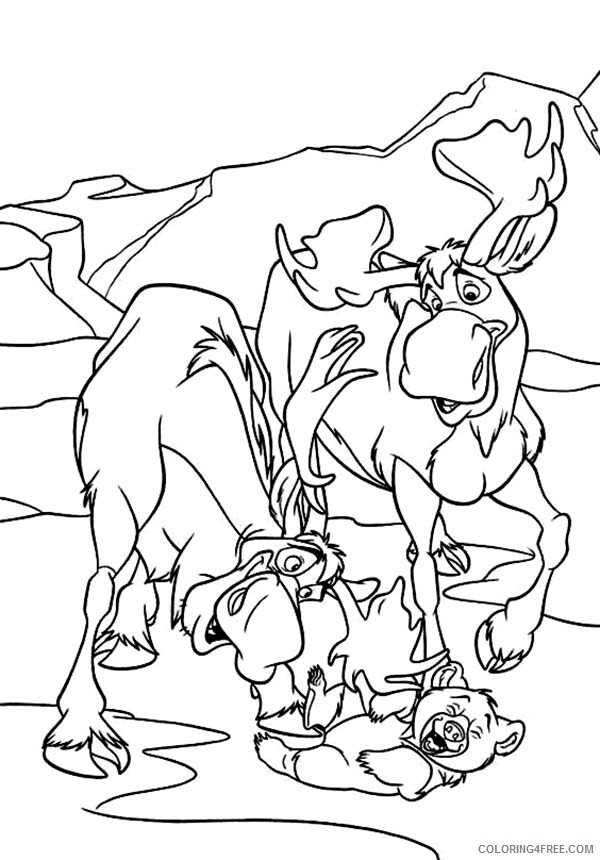 Moose Coloring Pages Animal Printable Sheets Moose Free 2021 3375 Coloring4free
