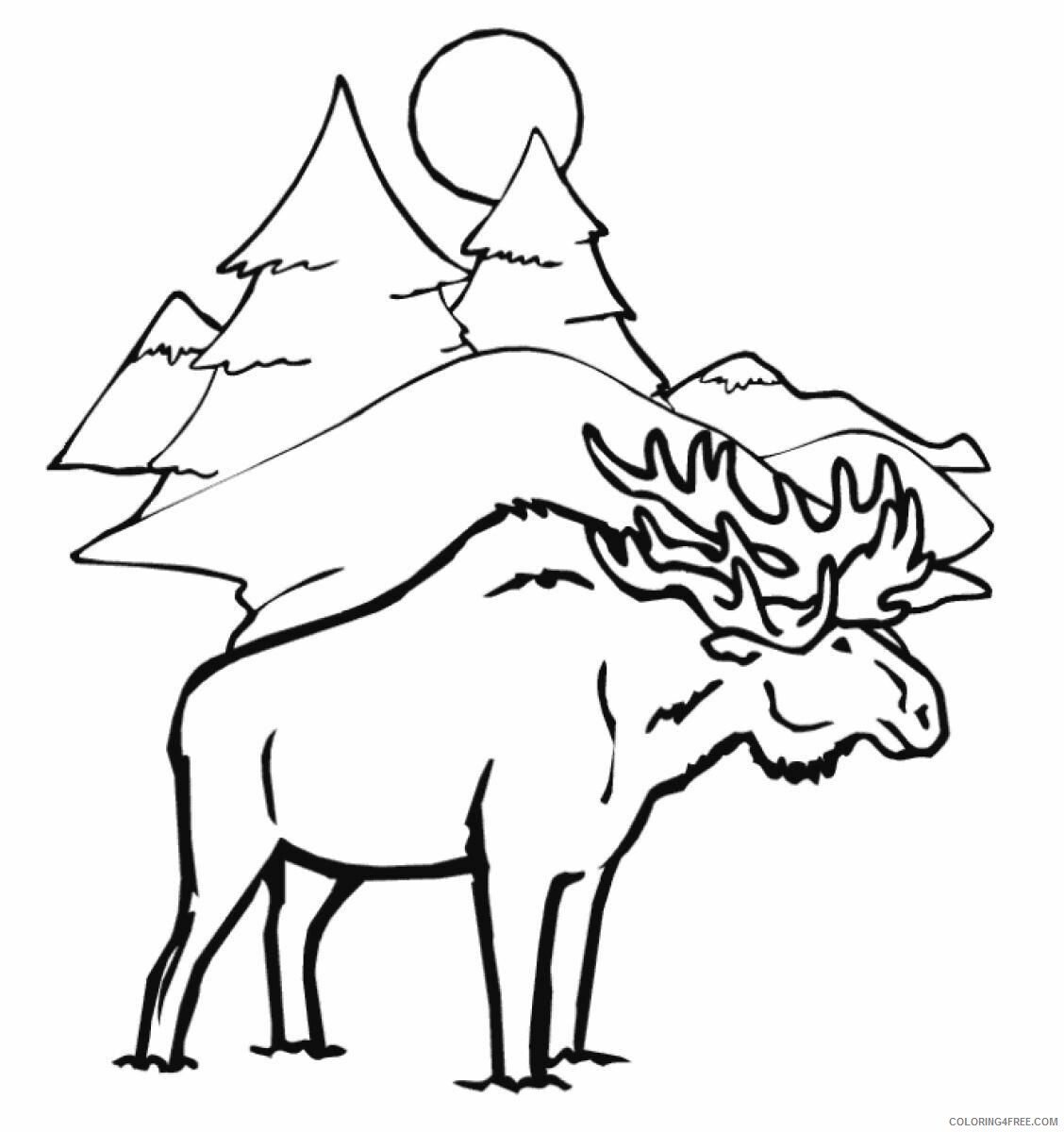 Moose Coloring Sheets Animal Coloring Pages Printable 2021 2902 Coloring4free
