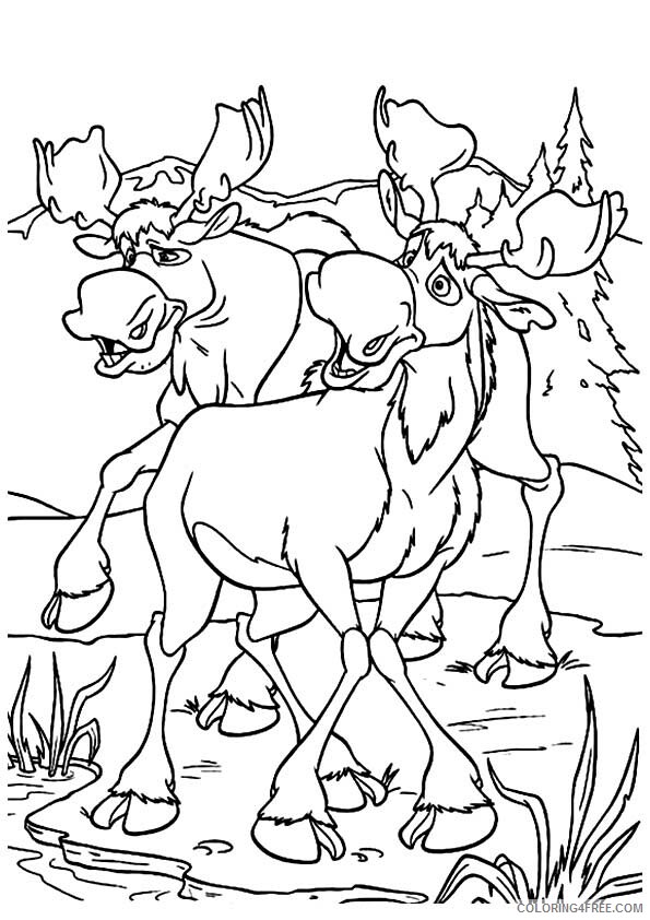 Moose Coloring Sheets Animal Coloring Pages Printable 2021 2905 Coloring4free