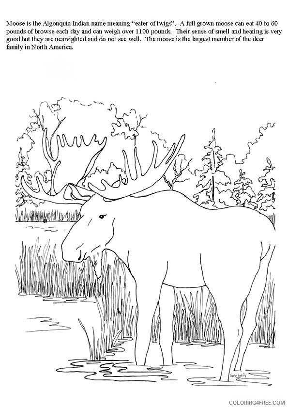 Moose Coloring Sheets Animal Coloring Pages Printable 2021 2907 Coloring4free