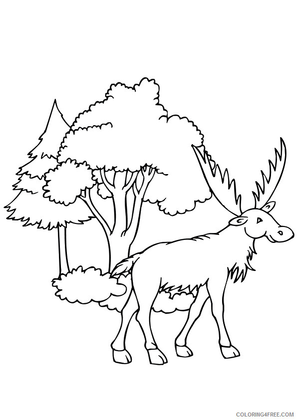 Moose Coloring Sheets Animal Coloring Pages Printable 2021 2908 Coloring4free