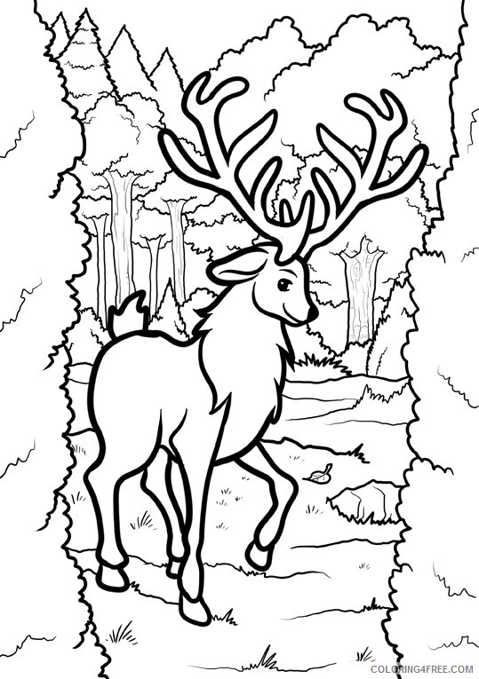 Moose Coloring Sheets Animal Coloring Pages Printable 2021 2911 Coloring4free
