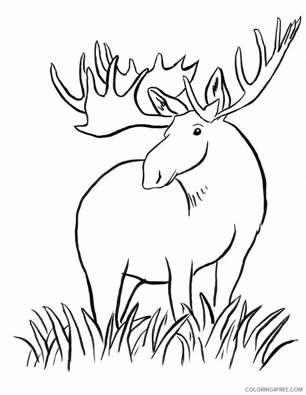 Moose Coloring Sheets Animal Coloring Pages Printable 2021 2914 Coloring4free
