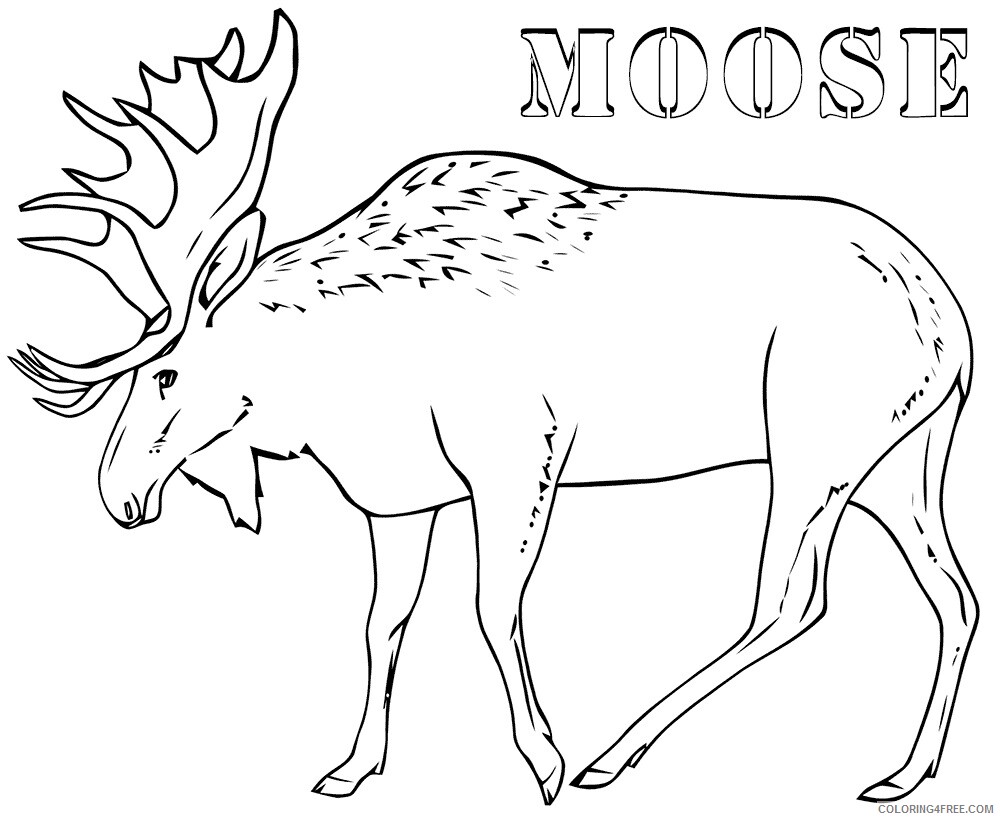 Moose Coloring Sheets Animal Coloring Pages Printable 2021 2922 Coloring4free