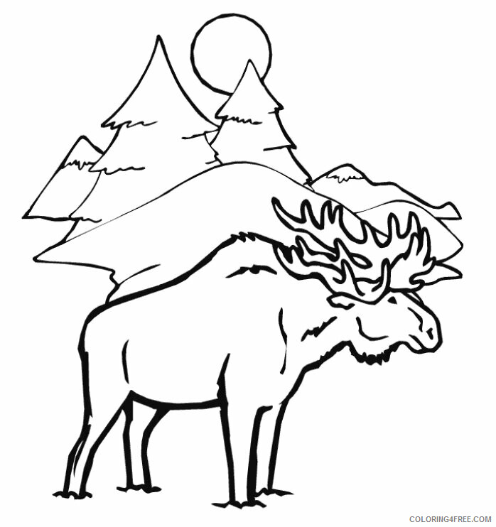 Moose Coloring Sheets Animal Coloring Pages Printable 2021 2923 Coloring4free