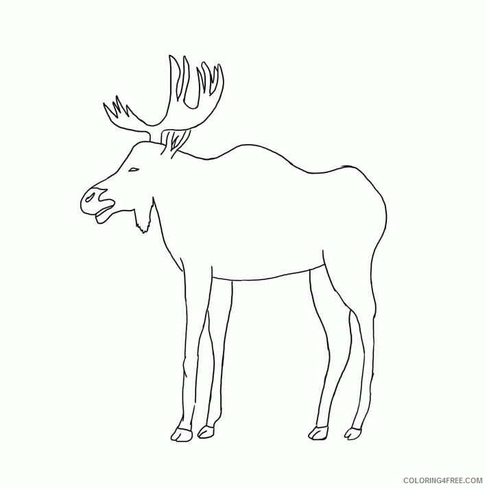 Moose Coloring Sheets Animal Coloring Pages Printable 2021 2924 Coloring4free