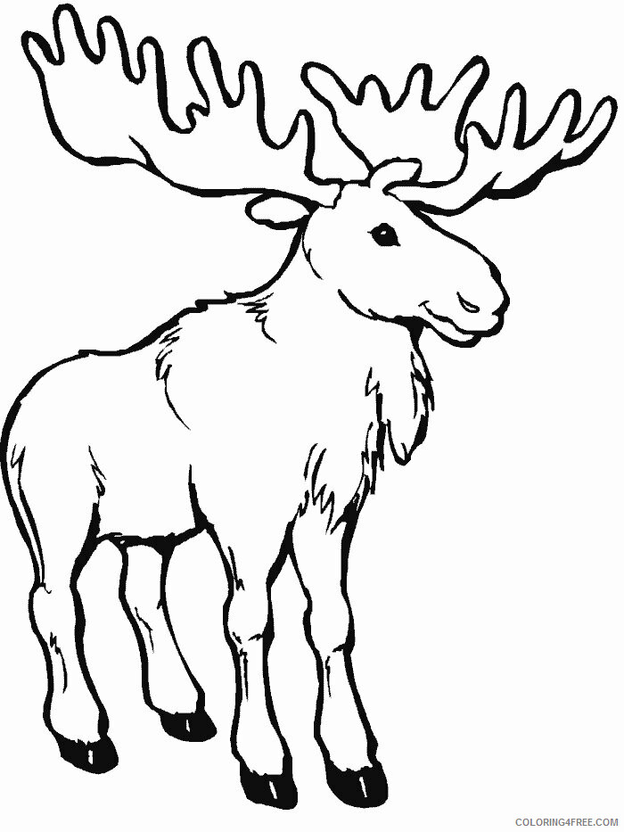Moose Coloring Sheets Animal Coloring Pages Printable 2021 2925 Coloring4free