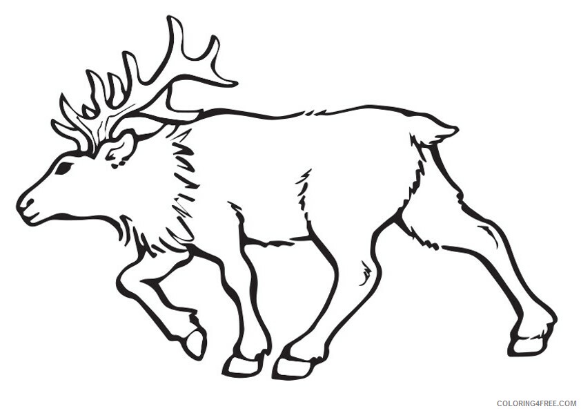 Moose Coloring Sheets Animal Coloring Pages Printable 2021 2928 Coloring4free