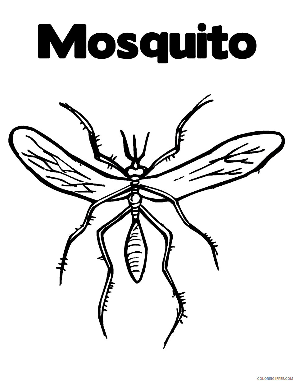 Mosquito Coloring Pages Animal Printable Sheets Mosquito Photos 2021 3388 Coloring4free