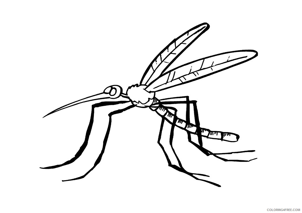 Mosquito Coloring Pages Animal Printable Sheets Mosquito Sheets 2021 3390 Coloring4free
