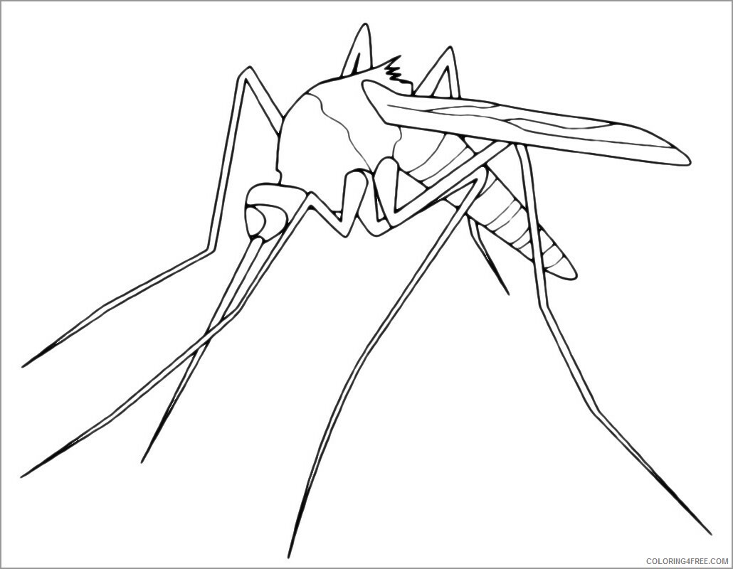 Mosquito Coloring Pages Animal Printable Sheets of mosquito 2021 3381 Coloring4free