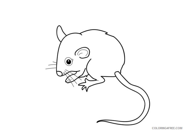 Mouse Coloring Pages Animal Printable Sheets Mouse 3 2021 3429 Coloring4free