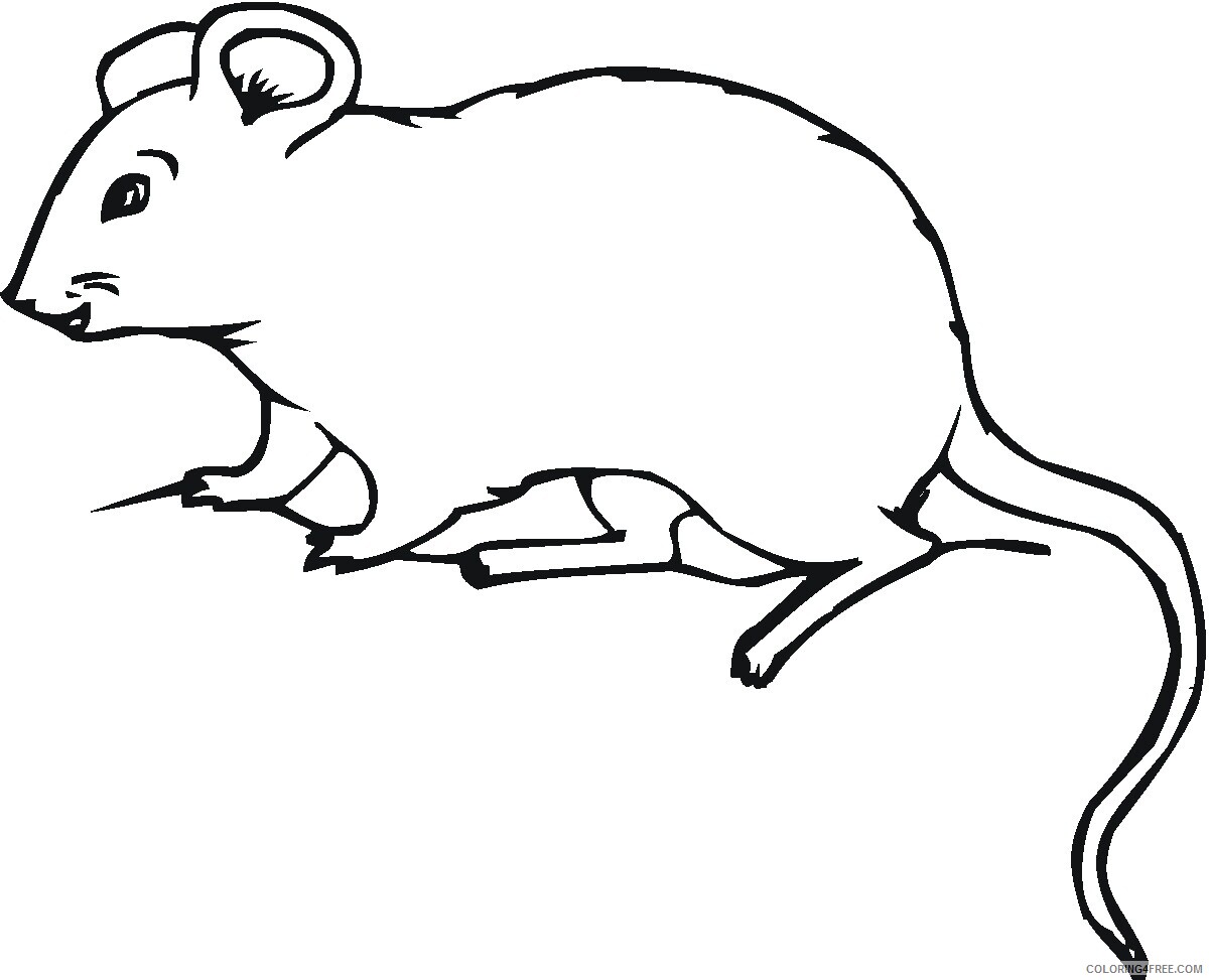 Mouse Coloring Pages Animal Printable Sheets Mouse For Kids 2 2021 3438 Coloring4free