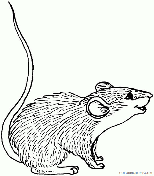Mouse Coloring Pages Animal Printable Sheets Mouse Free 2021 3442 Coloring4free