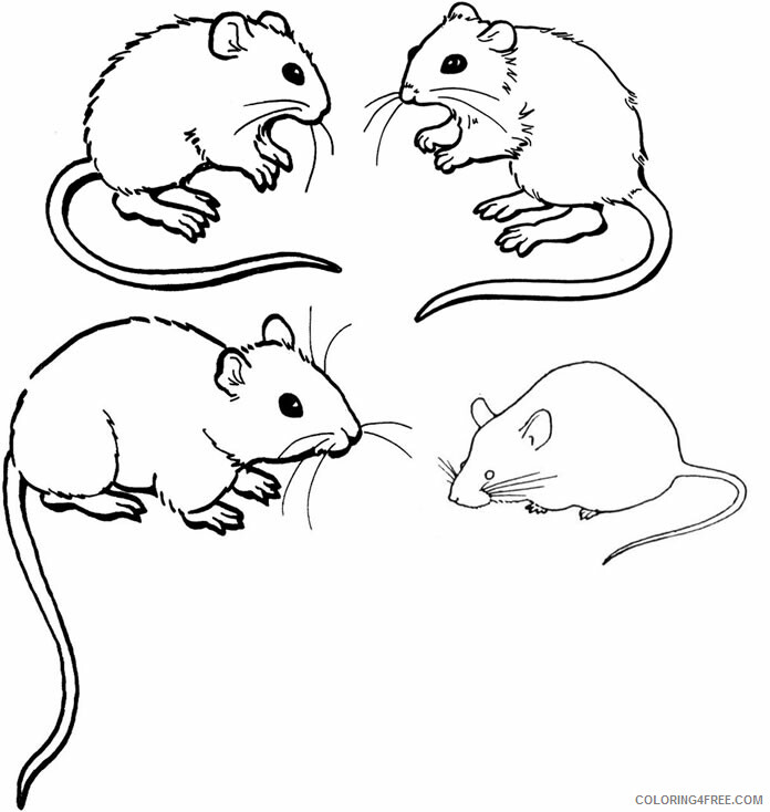 Mouse Coloring Pages Animal Printable Sheets Printable Mouse 2 2021 3449 Coloring4free