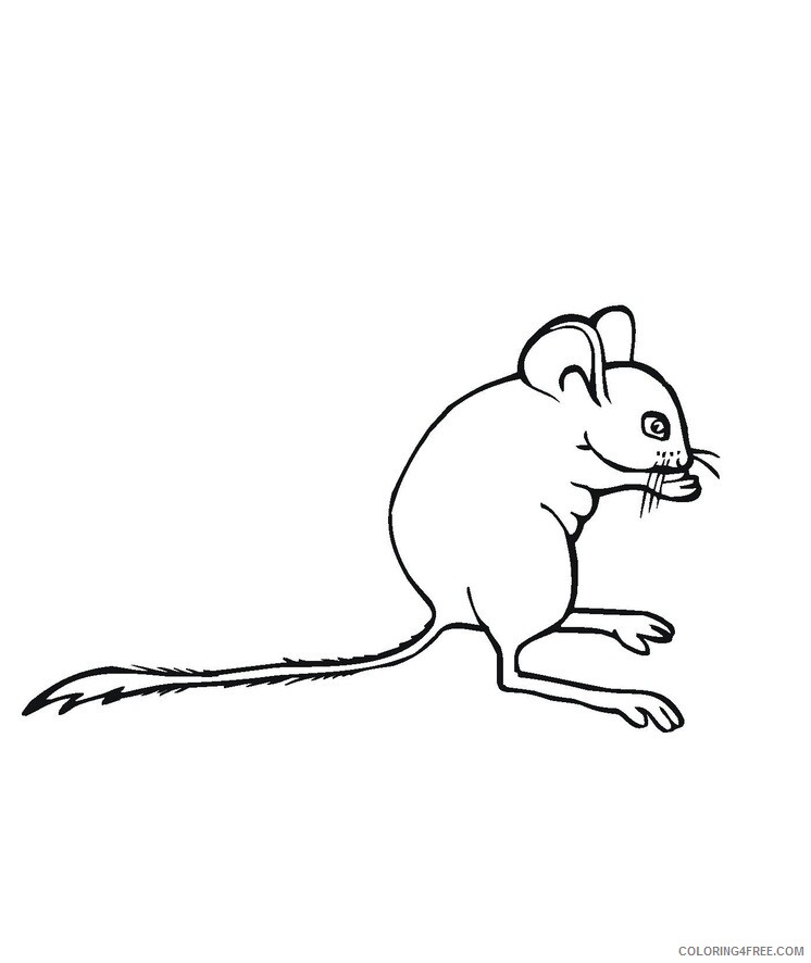 Mouse Coloring Pages Animal Printable Sheets of Mouse 2021 3406 Coloring4free