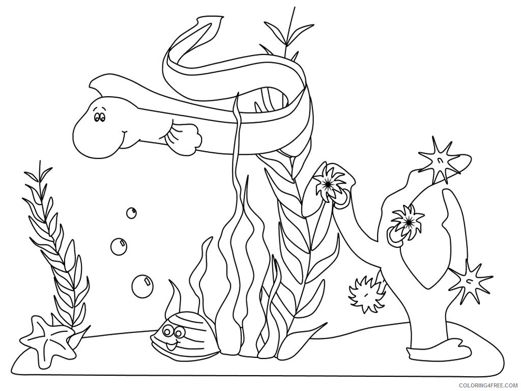 Ocean Animals Coloring Pages Animal Printable Sheets Ocean 2021 3453 Coloring4free