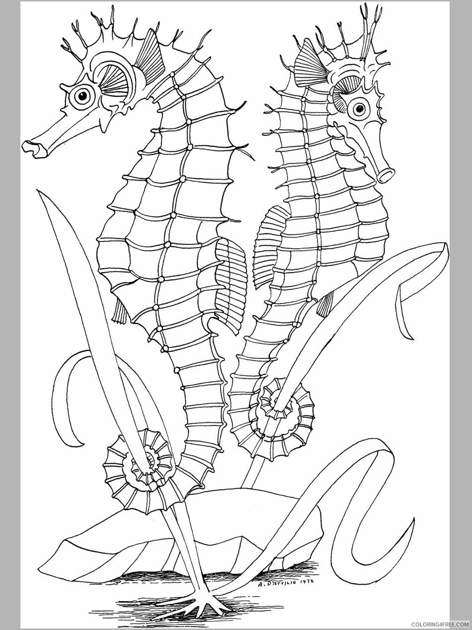 Ocean Animals Coloring Pages Animal Printable Sheets Ocean For Kids 2021 3479 Coloring4free
