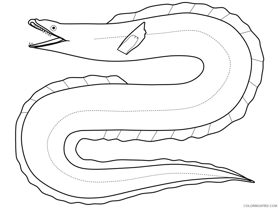 Ocean Animals Coloring Pages Animal Printable Sheets eel 4 2021 3461 Coloring4free