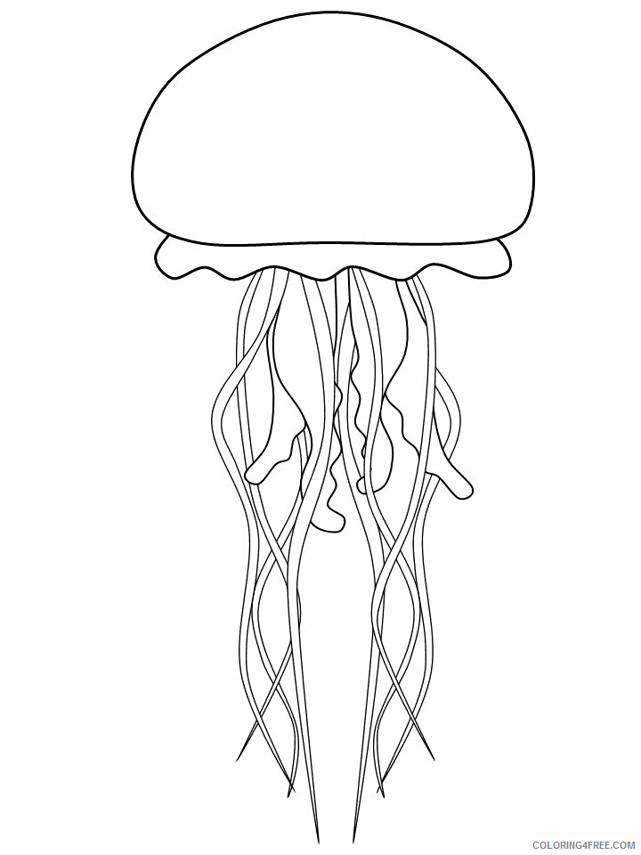 Ocean Animals Coloring Pages Animal Printable Sheets jellyfish 2021 3464 Coloring4free