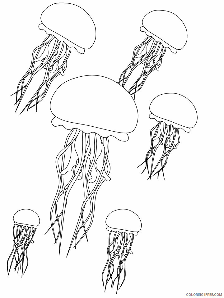 Ocean Animals Coloring Pages Animal Printable Sheets jellyfish swarm 2021 3469 Coloring4free