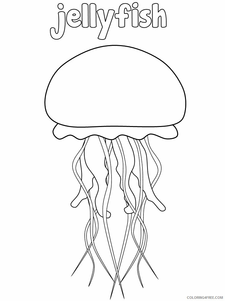 Ocean Animals Coloring Pages Animal Printable Sheets jellyfish words 2021 3471 Coloring4free