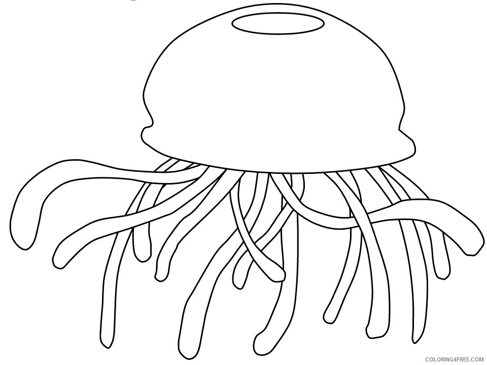 Ocean Animals Coloring Pages Animal Printable Sheets jellyfish2 2021 3465 Coloring4free