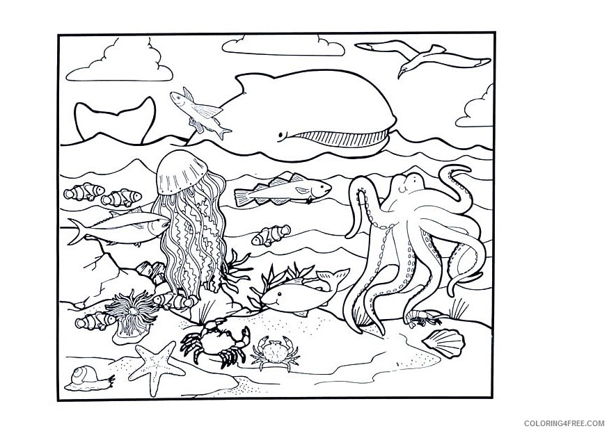 Ocean Animals Coloring Pages Animal Printable Sheets of The Ocean 2021 3454 Coloring4free