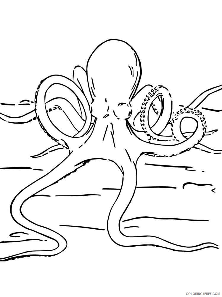 Octopus Coloring Pages Animal Printable Sheets Octopus 11 2021 3516 Coloring4free
