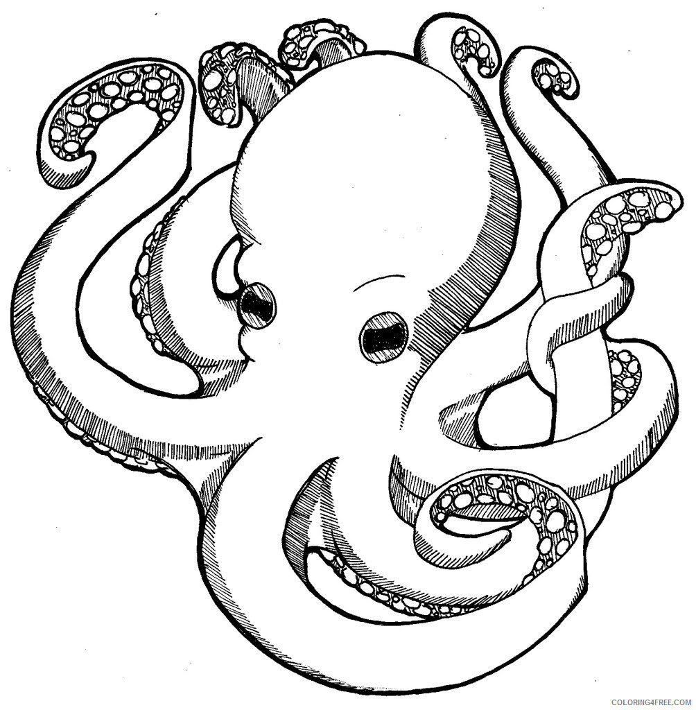 Octopus Coloring Pages Animal Printable Sheets Octopus For Kids 2021 3528 Coloring4free