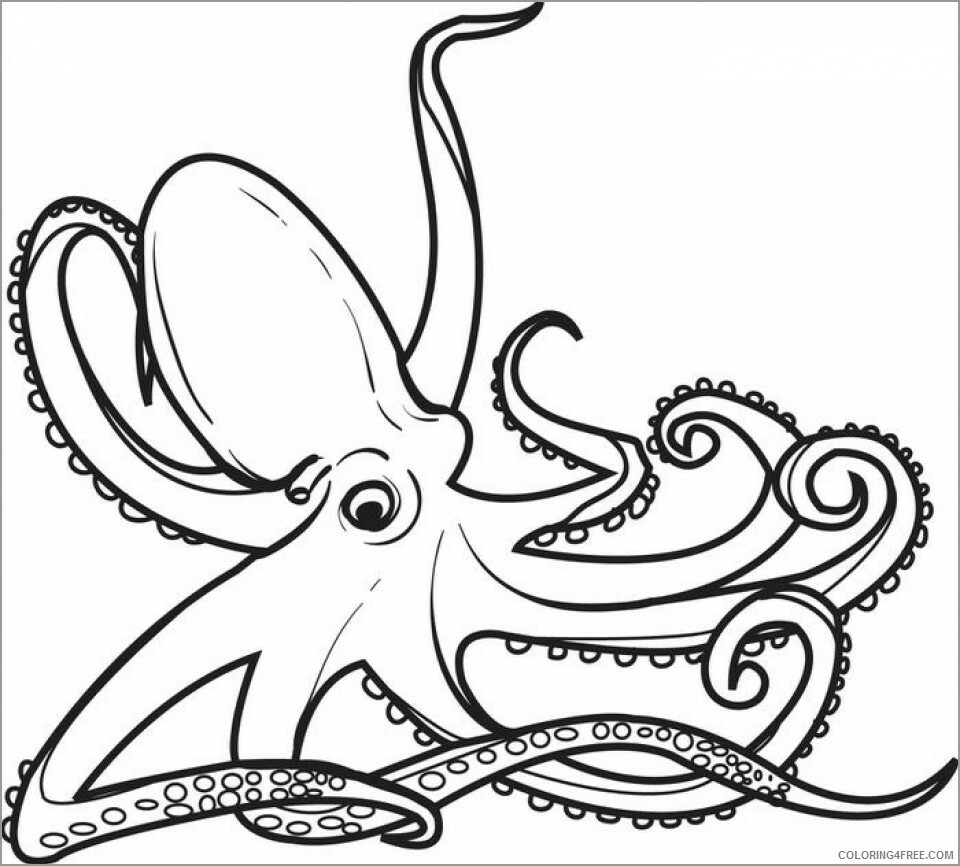 Octopus Coloring Pages Animal Printable Sheets free octopus 2021 3508 Coloring4free