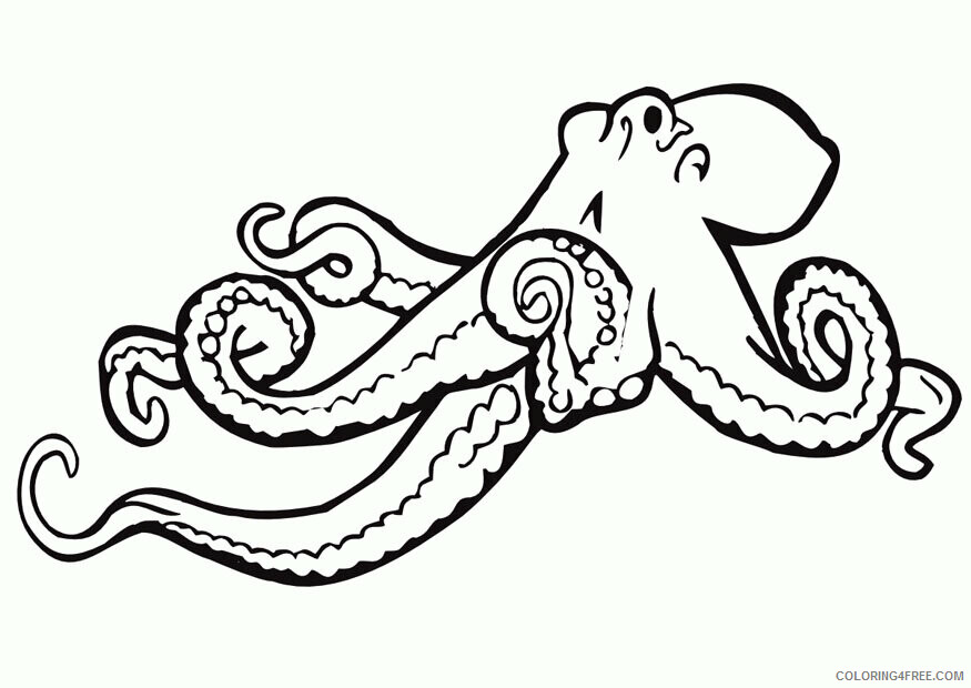 Octopus Coloring Sheets Animal Coloring Pages Printable 2021 2959 Coloring4free