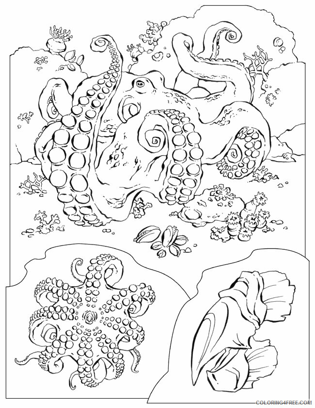 Octopus Coloring Sheets Animal Coloring Pages Printable 2021 2965 Coloring4free