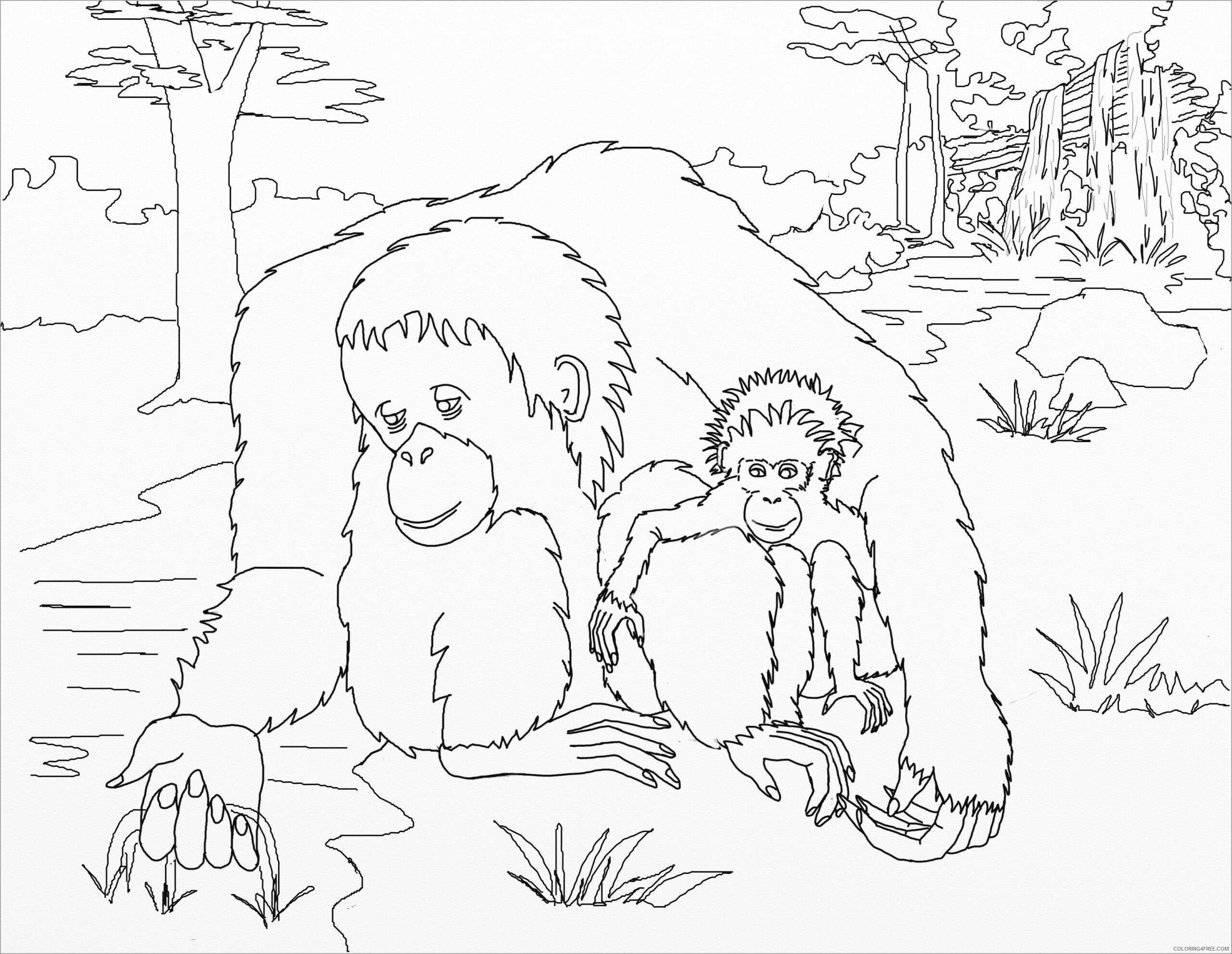 Orangutan Coloring Pages Animal Printable Sheets orangutan mom and baby 2021 3547 Coloring4free