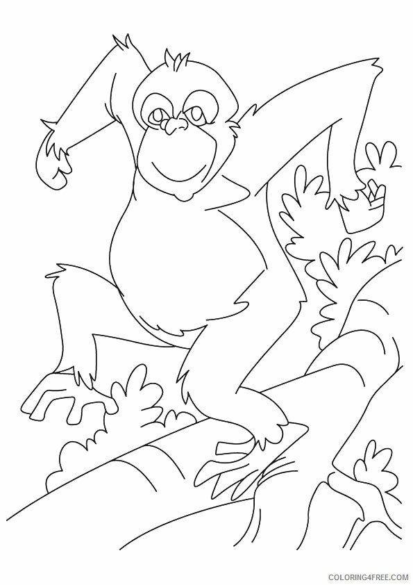 Orangutan Coloring Sheets Animal Coloring Pages Printable 2021 2995 Coloring4free