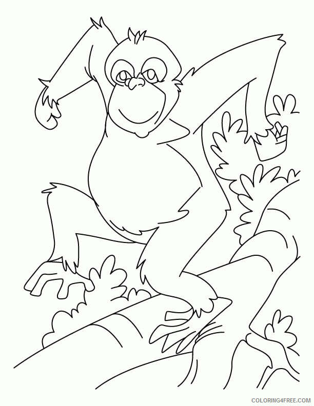 Orangutan Coloring Sheets Animal Coloring Pages Printable 2021 2997 Coloring4free