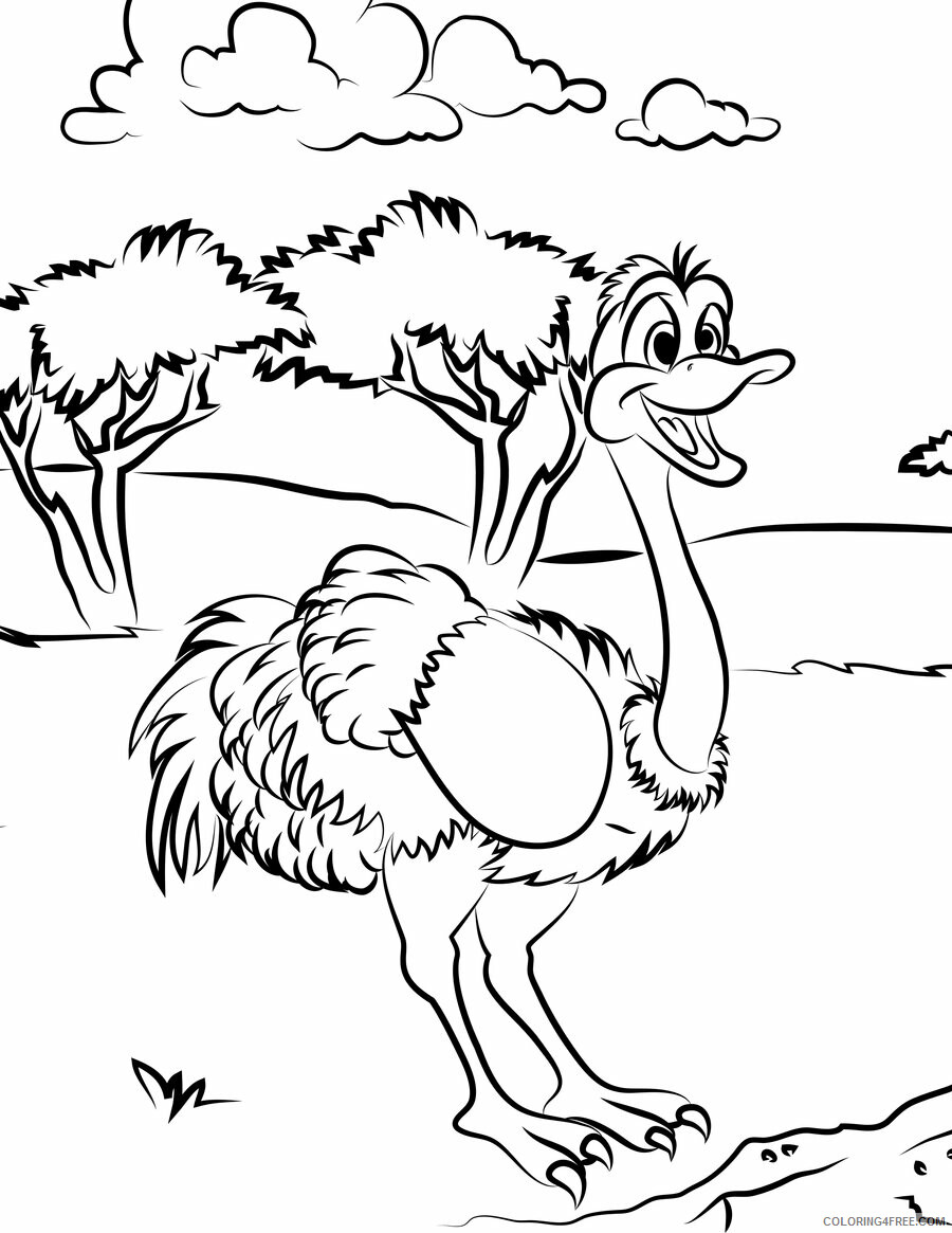 Ostrich Coloring Pages Animal Printable Sheets Ostrich 2021 3567 Coloring4free