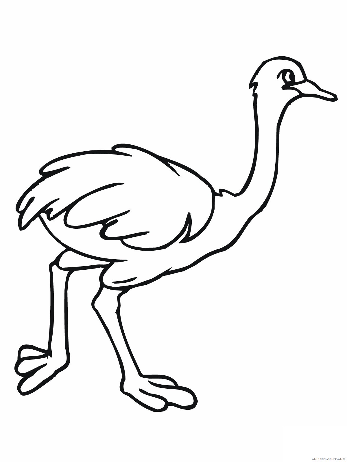Ostrich Coloring Pages Animal Printable Sheets Ostrich 2021 3568 Coloring4free