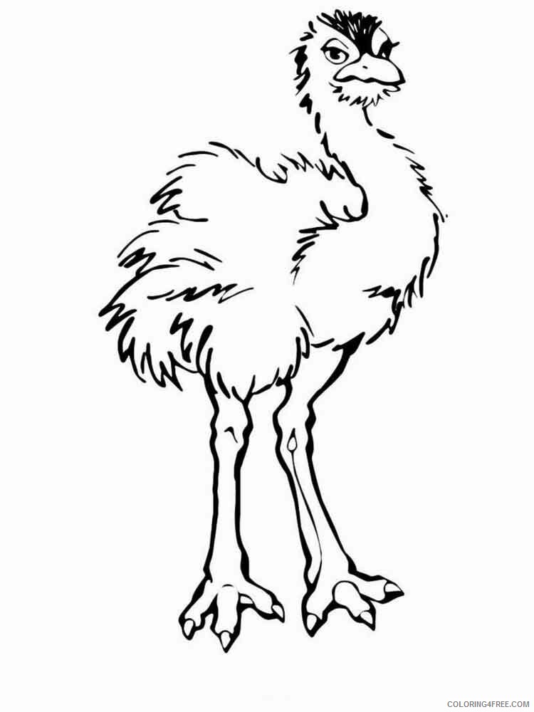 Ostrich Coloring Pages Animal Printable Sheets Ostrich birds 3 2021 3564 Coloring4free