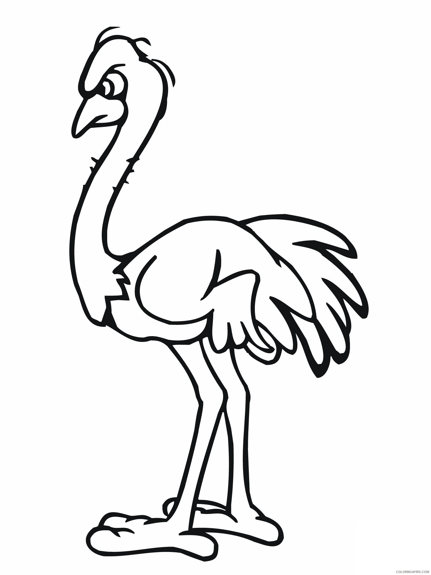 Ostrich Coloring Pages Animal Printable Sheets Ostrich to Print 2021 3572 Coloring4free