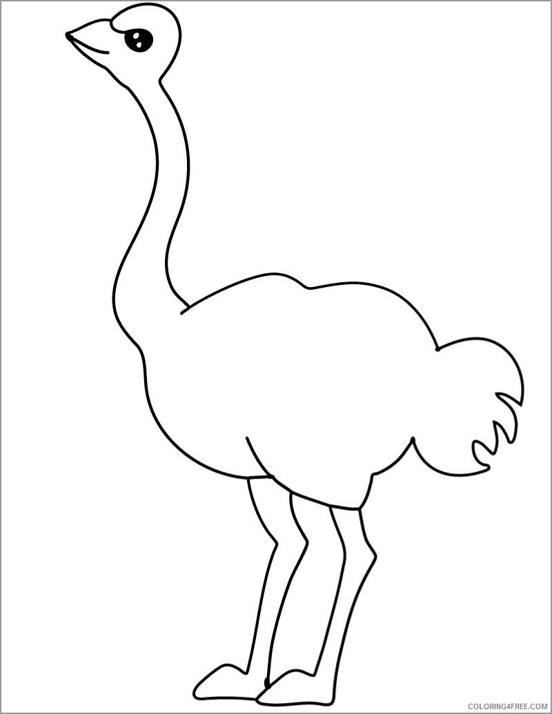 Ostrich Coloring Pages Animal Printable Sheets easy ostrich 2021 3551 Coloring4free