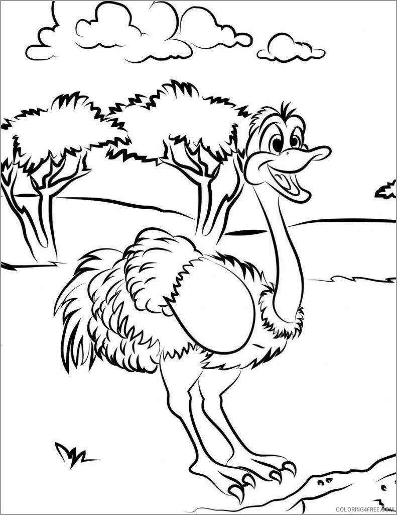 Ostrich Coloring Pages Animal Printable Sheets funny ostrich 2021 3553 Coloring4free
