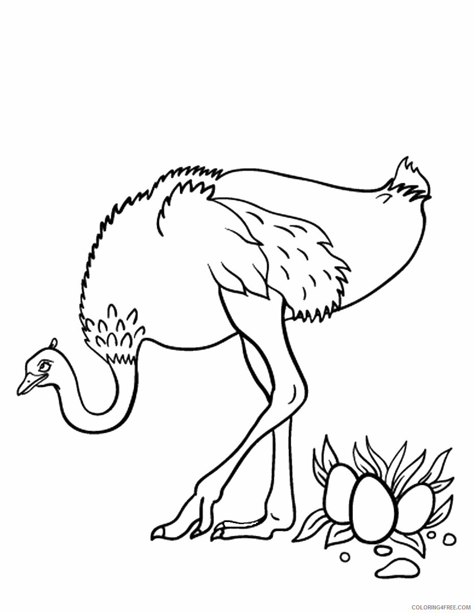Ostrich Coloring Pages Animal Printable Sheets ostrich_cl_20 2021 3557 Coloring4free