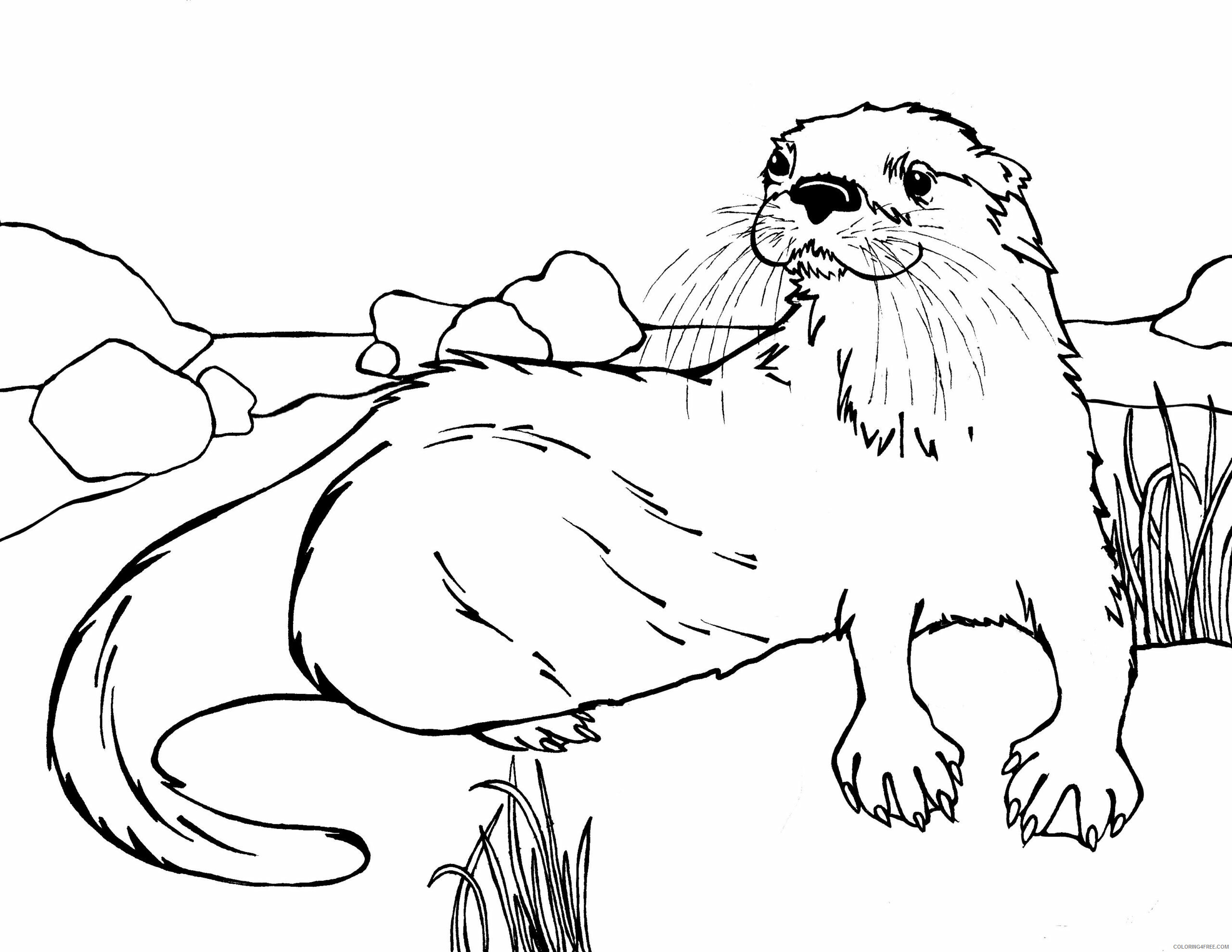Otter Coloring Pages Animal Printable Sheets Cute Otter 2021 3579 Coloring4free