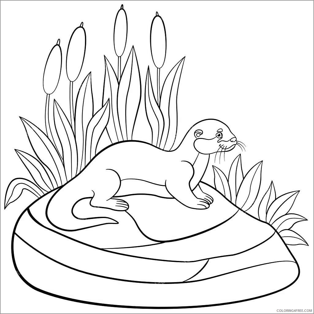 Otter Coloring Pages Animal Printable Sheets cartoon otter 2021 3577 Coloring4free