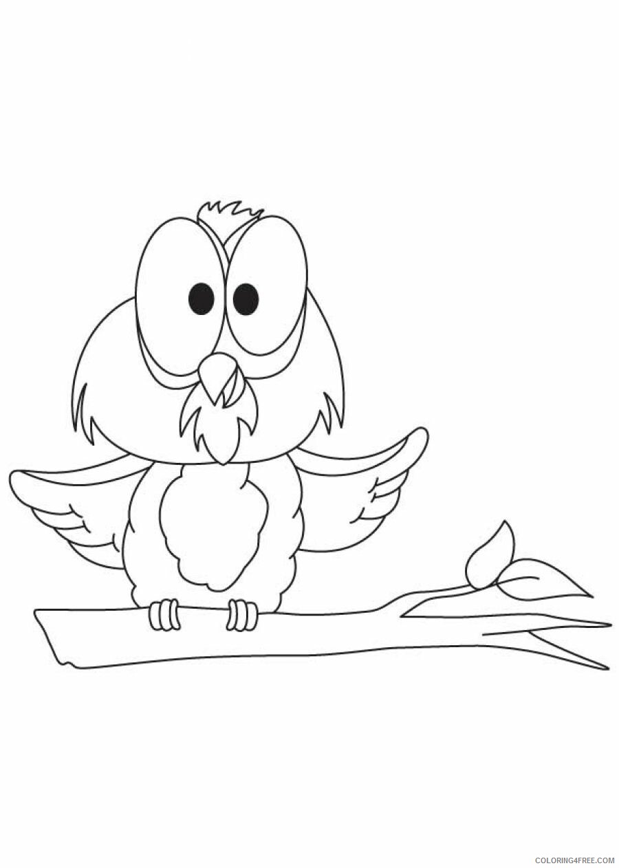 Owl Coloring Pages Animal Printable Sheets Baby Owl 2021 3602 Coloring4free