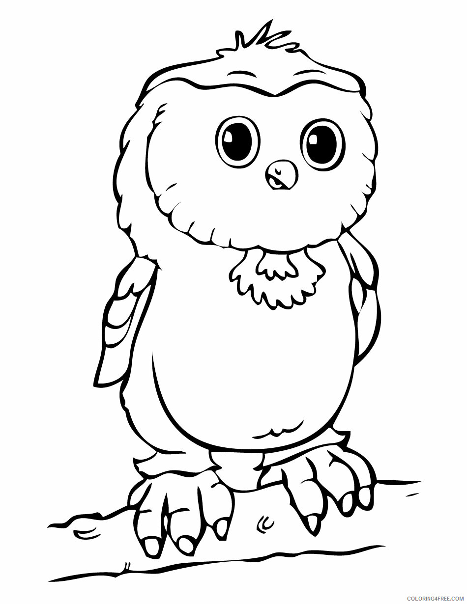 Owl Coloring Pages Animal Printable Sheets Baby Owl Sheets 2021 3604 Coloring4free