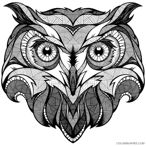 Owl Coloring Pages Animal Printable Sheets Free Owl 2 2021 3628 Coloring4free
